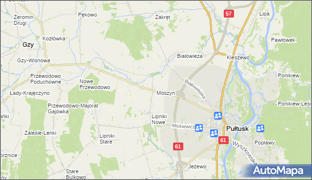 mapa Moszyn, Moszyn na mapie Targeo