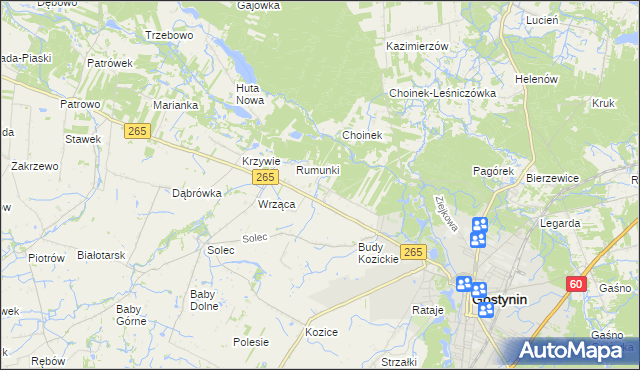 mapa Nagodów gmina Gostynin, Nagodów gmina Gostynin na mapie Targeo