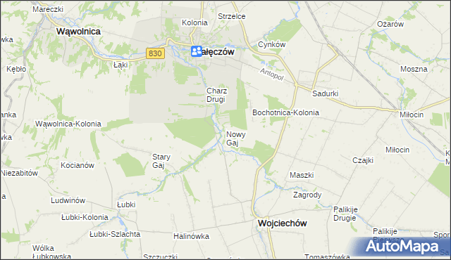 mapa Nowy Gaj gmina Wojciechów, Nowy Gaj gmina Wojciechów na mapie Targeo