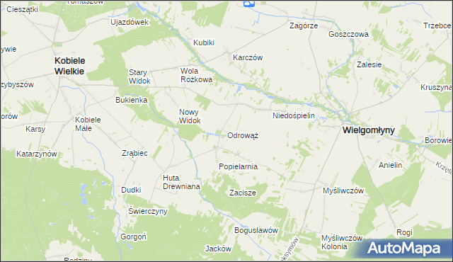 mapa Odrowąż gmina Wielgomłyny, Odrowąż gmina Wielgomłyny na mapie Targeo