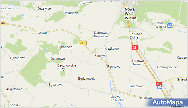 mapa Palczyn, Palczyn na mapie Targeo