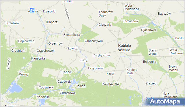 mapa Przybyszów gmina Kobiele Wielkie, Przybyszów gmina Kobiele Wielkie na mapie Targeo