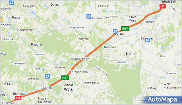 mapa Siestrzeń, Siestrzeń na mapie Targeo