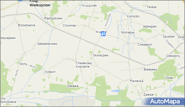 mapa Skoraczew, Skoraczew na mapie Targeo