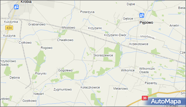 mapa Skoraszewice, Skoraszewice na mapie Targeo