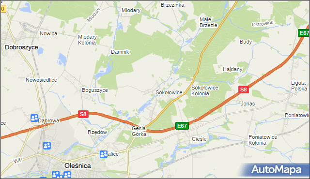 mapa Sokołowice gmina Oleśnica, Sokołowice gmina Oleśnica na mapie Targeo