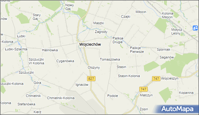 mapa Tomaszówka gmina Wojciechów, Tomaszówka gmina Wojciechów na mapie Targeo