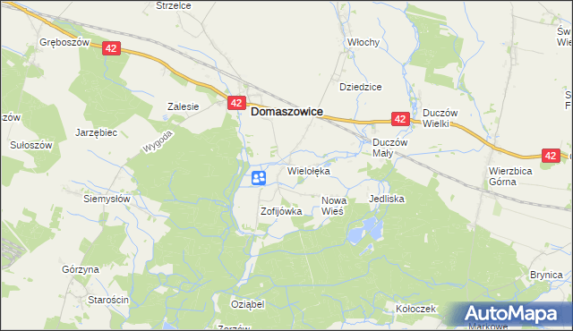 mapa Wielołęka gmina Domaszowice, Wielołęka gmina Domaszowice na mapie Targeo