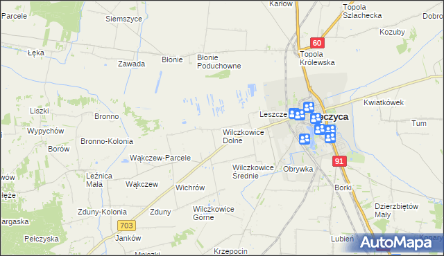 mapa Wilczkowice Dolne gmina Łęczyca, Wilczkowice Dolne gmina Łęczyca na mapie Targeo