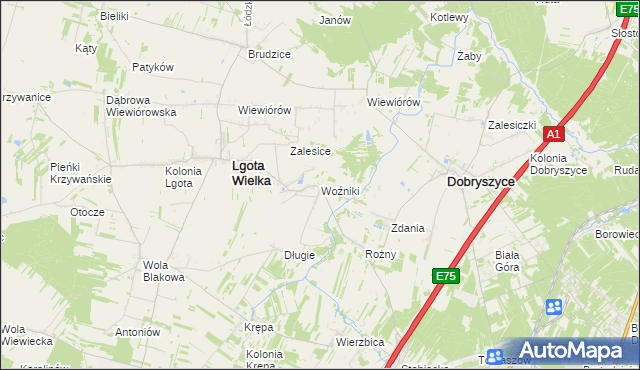 mapa Woźniki gmina Lgota Wielka, Woźniki gmina Lgota Wielka na mapie Targeo