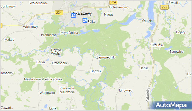 mapa Zapowiednik gmina Skarszewy, Zapowiednik gmina Skarszewy na mapie Targeo