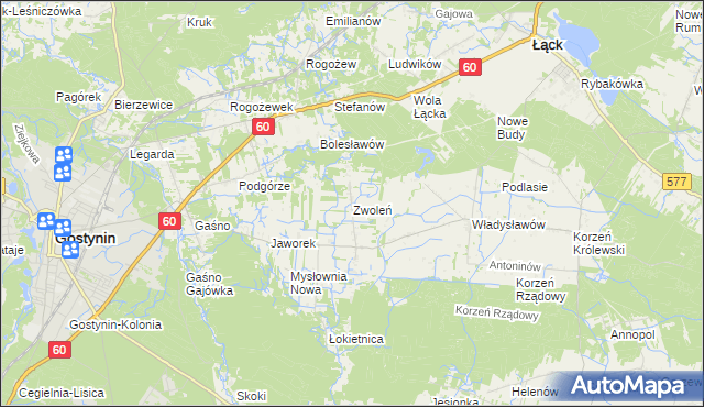 mapa Zwoleń gmina Gostynin, Zwoleń gmina Gostynin na mapie Targeo