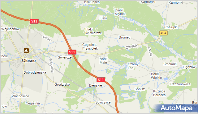 mapa Borki Małe gmina Olesno, Borki Małe gmina Olesno na mapie Targeo