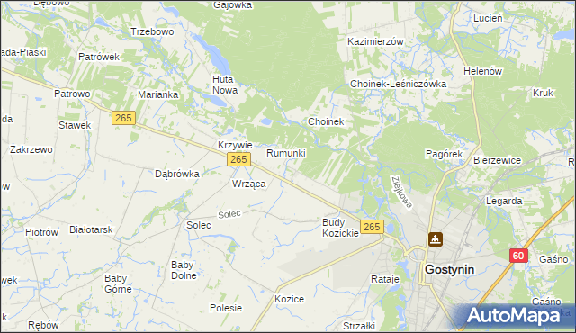 mapa Nagodów gmina Gostynin, Nagodów gmina Gostynin na mapie Targeo