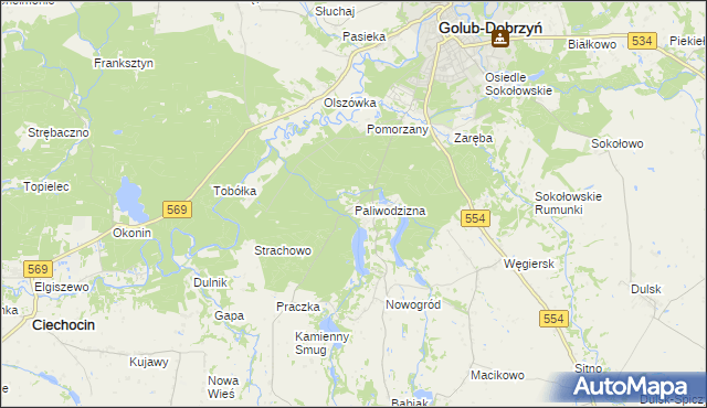 mapa Paliwodzizna, Paliwodzizna na mapie Targeo