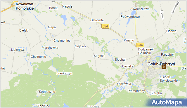 mapa Skępsk, Skępsk na mapie Targeo