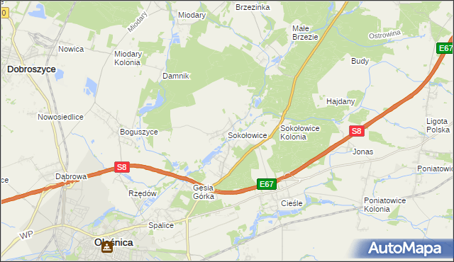 mapa Sokołowice gmina Oleśnica, Sokołowice gmina Oleśnica na mapie Targeo