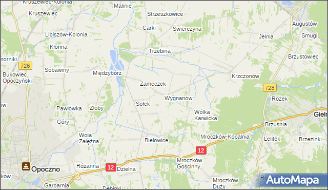 mapa Wygnanów gmina Opoczno, Wygnanów gmina Opoczno na mapie Targeo