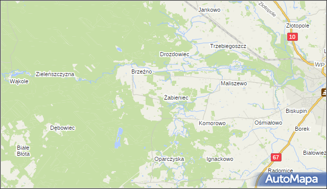 mapa Żabieniec gmina Lipno, Żabieniec gmina Lipno na mapie Targeo