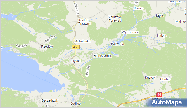 mapa Biestrzynnik, Biestrzynnik na mapie Targeo