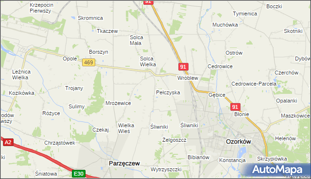 mapa Pełczyska gmina Ozorków, Pełczyska gmina Ozorków na mapie Targeo