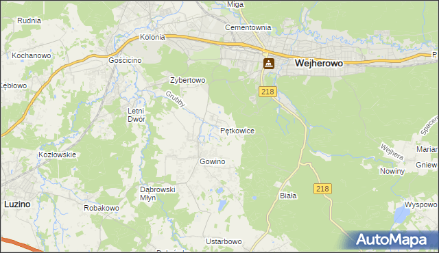 mapa Pętkowice gmina Wejherowo, Pętkowice gmina Wejherowo na mapie Targeo