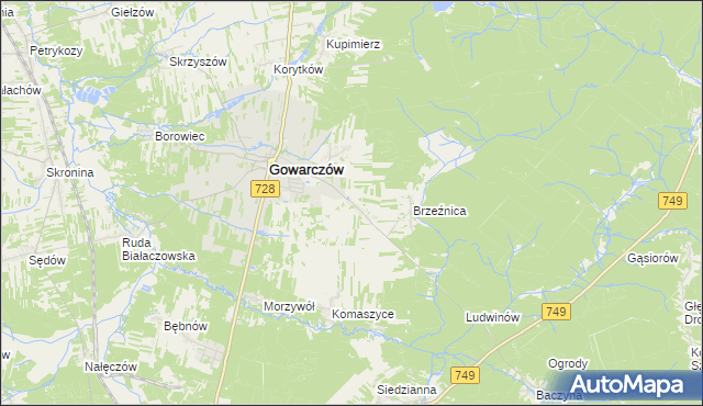 mapa Rogówek gmina Gowarczów, Rogówek gmina Gowarczów na mapie Targeo