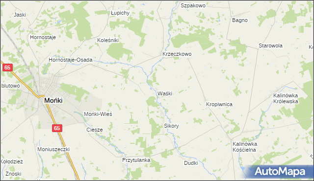 mapa Waśki gmina Mońki, Waśki gmina Mońki na mapie Targeo