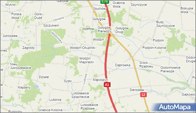 mapa Wodzinek gmina Tuszyn, Wodzinek gmina Tuszyn na mapie Targeo