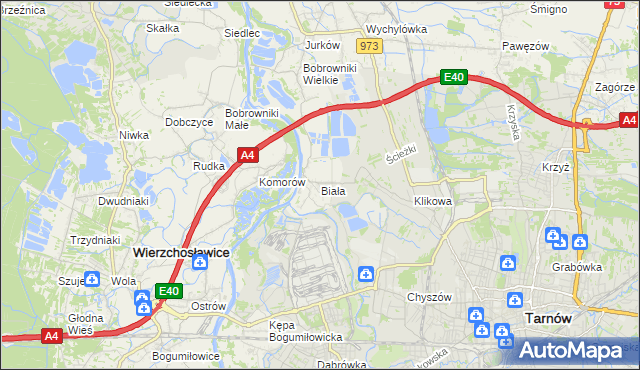 mapa Biała gmina Tarnów, Biała gmina Tarnów na mapie Targeo