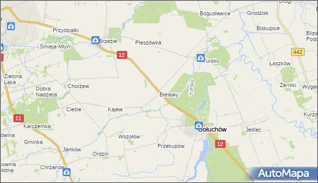 mapa Bielawy gmina Gołuchów, Bielawy gmina Gołuchów na mapie Targeo
