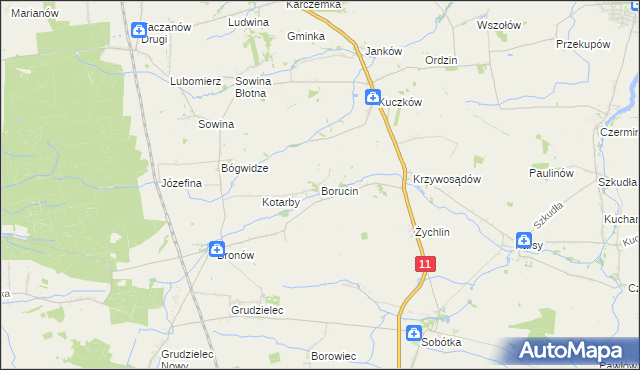 mapa Borucin gmina Pleszew, Borucin gmina Pleszew na mapie Targeo