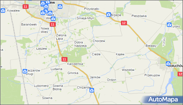 mapa Cieśle gmina Gołuchów, Cieśle gmina Gołuchów na mapie Targeo
