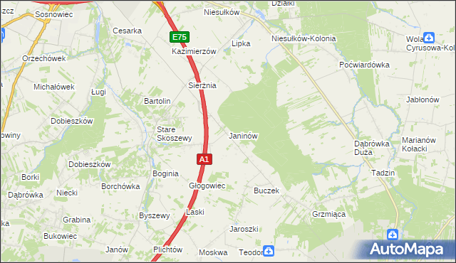 mapa Janinów gmina Brzeziny, Janinów gmina Brzeziny na mapie Targeo