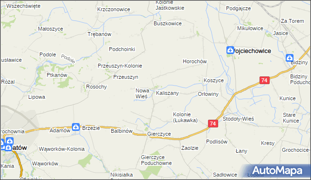 mapa Kaliszany gmina Wojciechowice, Kaliszany gmina Wojciechowice na mapie Targeo