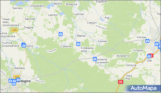 mapa Królewska Wola gmina Międzybórz, Królewska Wola gmina Międzybórz na mapie Targeo