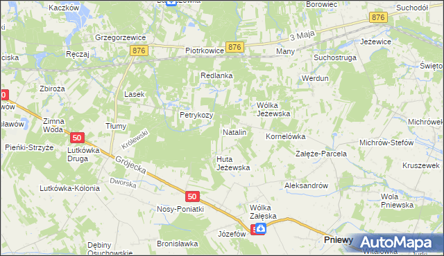 mapa Natalin gmina Pniewy, Natalin gmina Pniewy na mapie Targeo