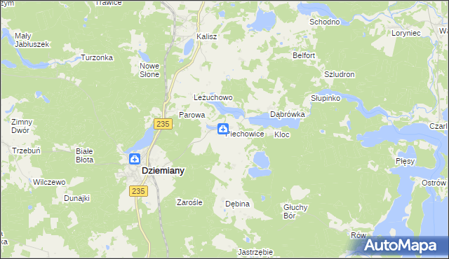 mapa Piechowice gmina Dziemiany, Piechowice gmina Dziemiany na mapie Targeo