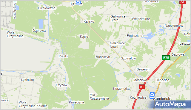 mapa Ruszczyn, Ruszczyn na mapie Targeo