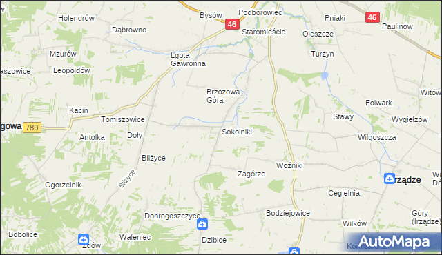 mapa Sokolniki gmina Niegowa, Sokolniki gmina Niegowa na mapie Targeo