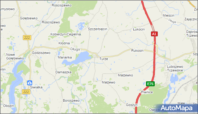 mapa Turze gmina Tczew, Turze gmina Tczew na mapie Targeo