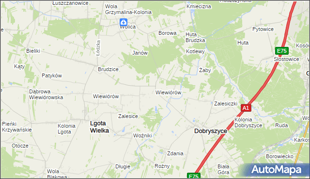 mapa Wiewiórów gmina Dobryszyce, Wiewiórów gmina Dobryszyce na mapie Targeo