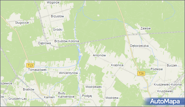 mapa Antoniów gmina Opoczno, Antoniów gmina Opoczno na mapie Targeo