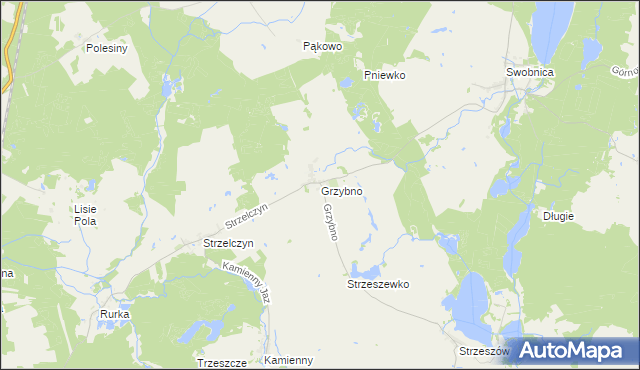 mapa Grzybno gmina Chojna, Grzybno gmina Chojna na mapie Targeo