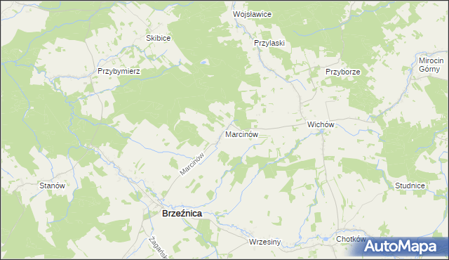 mapa Marcinów gmina Brzeźnica, Marcinów gmina Brzeźnica na mapie Targeo