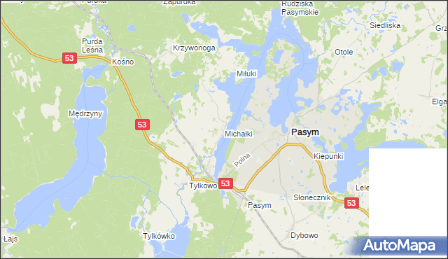 mapa Michałki gmina Pasym, Michałki gmina Pasym na mapie Targeo