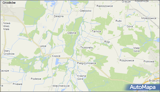 mapa Tłustoręby, Tłustoręby na mapie Targeo