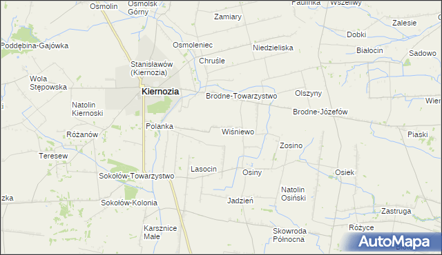 mapa Wiśniewo gmina Kiernozia, Wiśniewo gmina Kiernozia na mapie Targeo