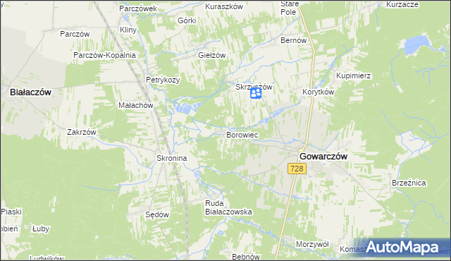 mapa Borowiec gmina Gowarczów, Borowiec gmina Gowarczów na mapie Targeo