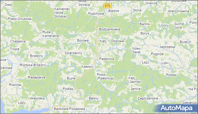 mapa Paleśnica, Paleśnica na mapie Targeo